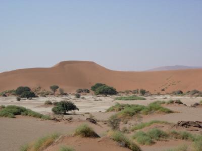 DSCN0266c 