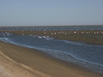 Img2005-07-11-00001c 
