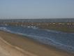 Img2005-07-11-00001c 