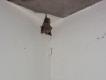 Img2005-07-20-00003c 