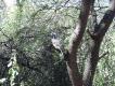 Img2005-07-22-00011c 